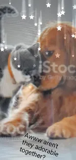 Adorable cat snuggling with a dog, showcasing a heartwarming moment.