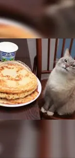 Curious cat sitting by pancake stack on table.