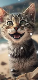 A joyful kitten on a sandy beach with rocks.