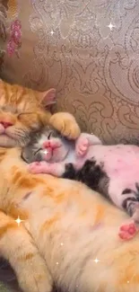 Two cats cuddling on a patterned couch, conveying warmth and relaxation.