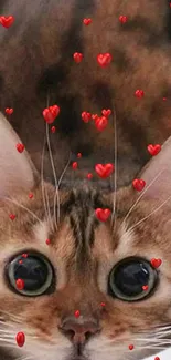 Adorable cat peeks amidst floating red hearts.