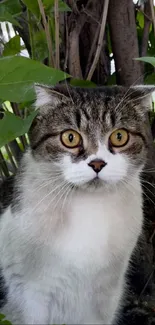 Adorable cat with golden eyes in green foliage.