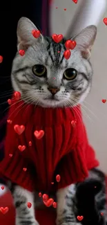 Cute cat wearing a red sweater, sitting indoors.