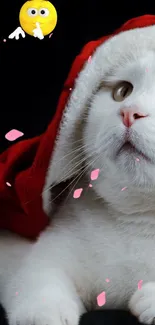 White cat in Santa hat with festive decorations.