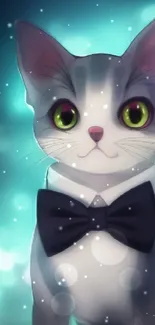 A cute cat in a tuxedo with an aqua blue background.