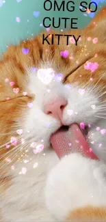 Cute fluffy orange and white cat licking paw.