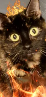 Tortoiseshell cat sitting on blue carpet.