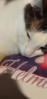 Adorable cat sleeping soundly on a colorful pillow.