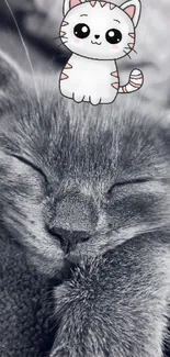 A cute kitten sleeping with a cartoon cat on its head, perfect mobile wallpaper.