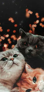 Adorable trio of cats with bokeh lights in the background.