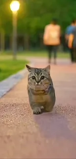 Cute cat walking on a park path with a blurred background.