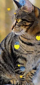 Cute tabby cat with colorful heart designs.