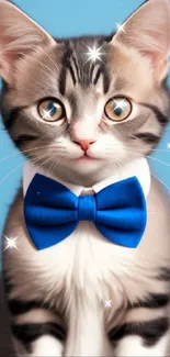 Cute tabby kitten wearing a blue bowtie with a soft sky blue background.