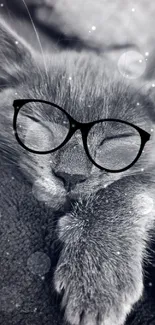 Adorable kitten in glasses, cozy and monochrome wallpaper.