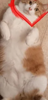 Adorable cat laying down with red heart frame on face.