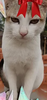 Cute cat with a red bow, set against a background of bricks.