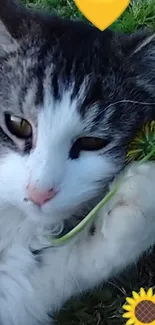 Cute cat with flower and yellow heart on green grass.