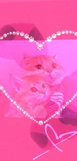 Two adorable cats within a pink-hearted frame on a mobile wallpaper.