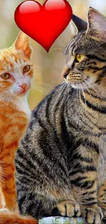 Two cute cats with a red heart symbol on a colorful background.