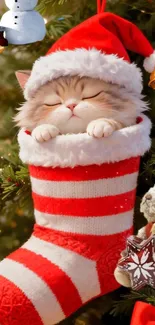 Cute cat in a red Christmas stocking with festive decorations.