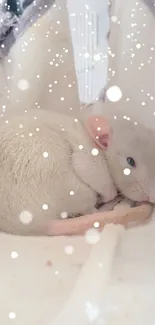 Cozy hamster sleeping in a soft hammock with a snowy effect.