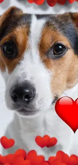 Cute dog wallpaper with floating red hearts.