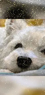 Cute fluffy dog with glitter effect on mobile wallpaper.