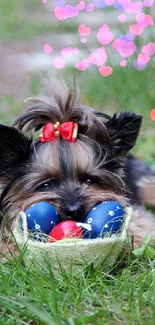 Adorable dog with bow resting in green grass surrounded by Easter eggs.