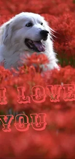 White dog in red flowers with 'I Love You' message.