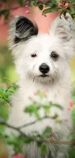 Fluffy white dog surrounded by pink blooms in a spring setting.