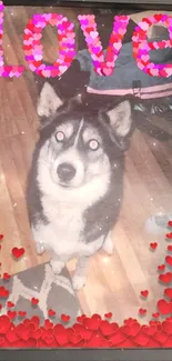 Cute husky with red heart decorations and 'Love' text.