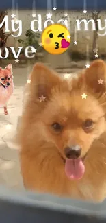 Adorable dog with "My Dog My Love" text and emojis.