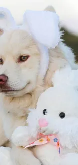 Fluffy dog wearing bunny ears beside a plush toy bunny.