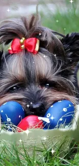 Adorable dog with Easter eggs in grass.