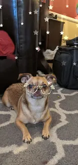 Adorable dog wearing glasses in a home setting with star accents.