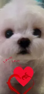 Adorable white dog with red hearts wallpaper for mobile.