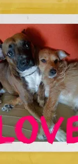 Two snuggly dogs with 'LOVE' text, set against yellow backdrop.