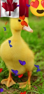 Cute duckling with Canadian flag and emoji hat on bright green grass.