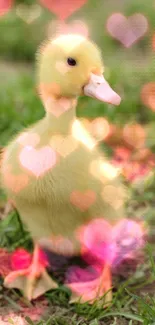 Yellow duckling standing on green grass.