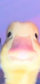 Close-up of an adorable yellow duckling against a bright background.