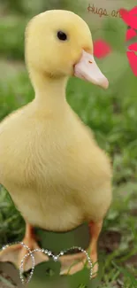 Yellow duckling photo with grass and red kiss marks.