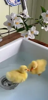 Two ducklings swimming in a white sink with flowers.