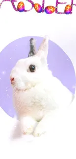 Adorable white rabbit with Easter eggs on a lavender background.