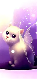 Fairy cat with wings on a purple background.