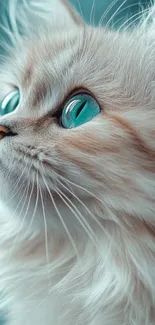 Adorable kitten with blue eyes wallpaper.