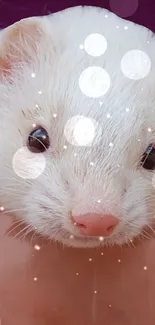 Cute ferret with sparkles mobile wallpaper.