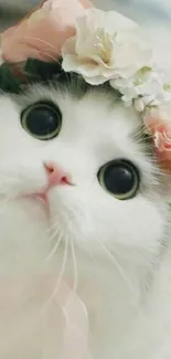 Cute white cat with floral crown looking adorable.