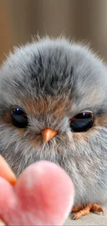 Adorable fluffy bird with big eyes.