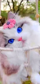 Fluffy cat with blue eyes and pink bow resting in a hammock.