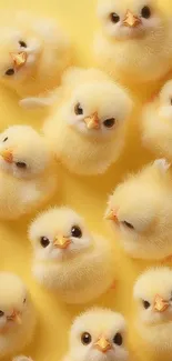 Adorable fluffy yellow chicks on a bright background.